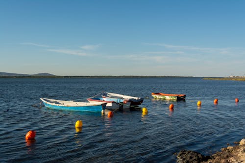 View of Boats Moored on the Shore 