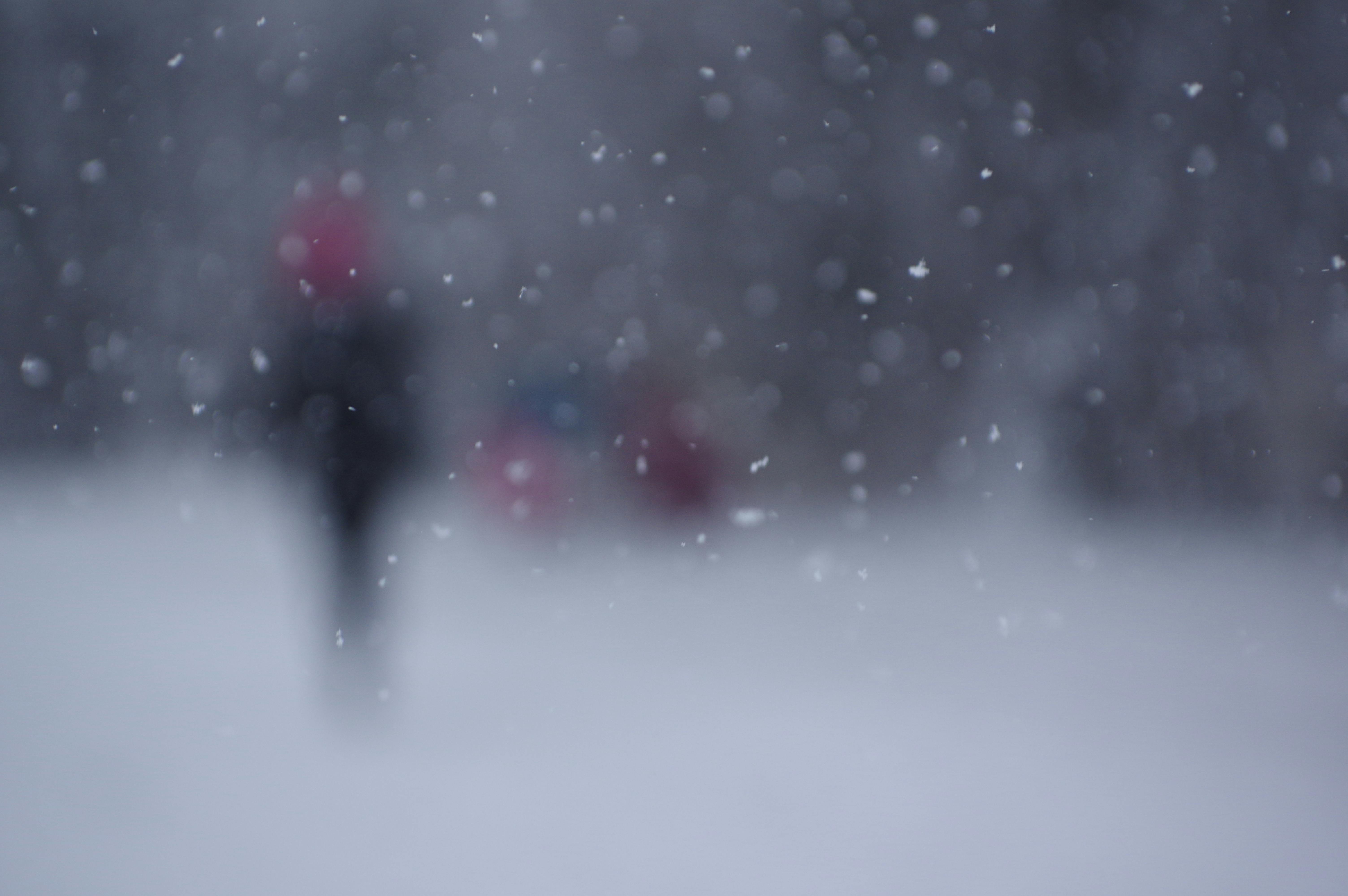 冬 雪の無料の写真素材