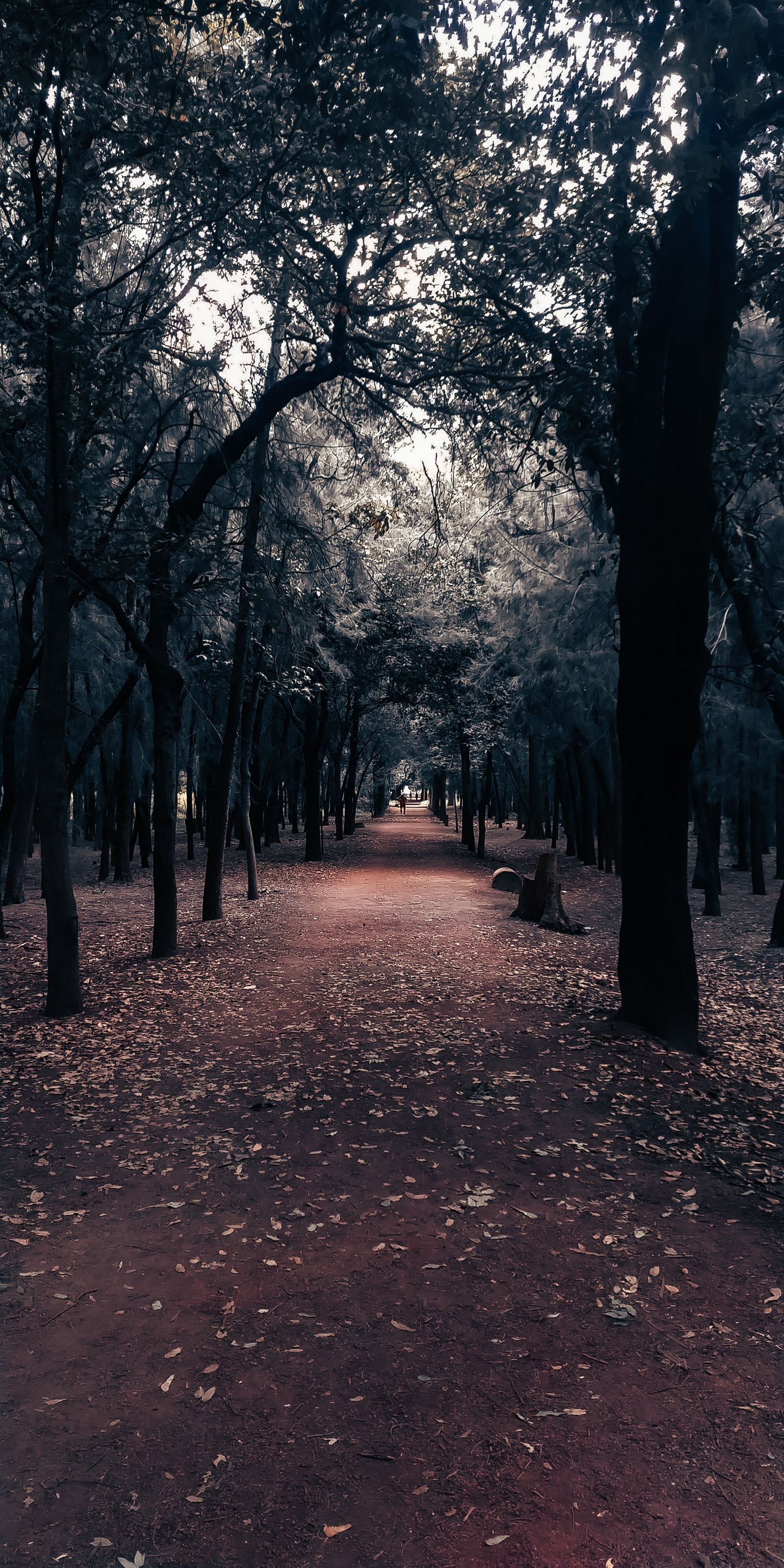 Fotomural Fotolia