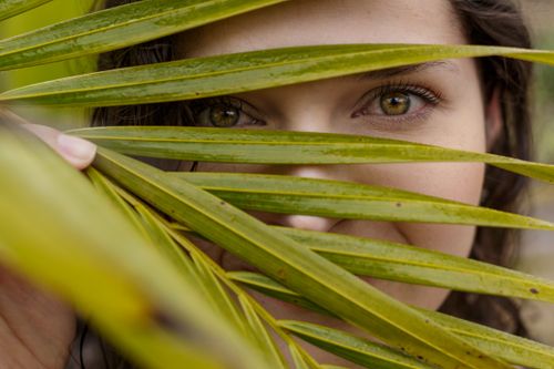 Free Close-up of a woman's eyes peering through lush green palm leaves in an outdoor setting. Stock Photo