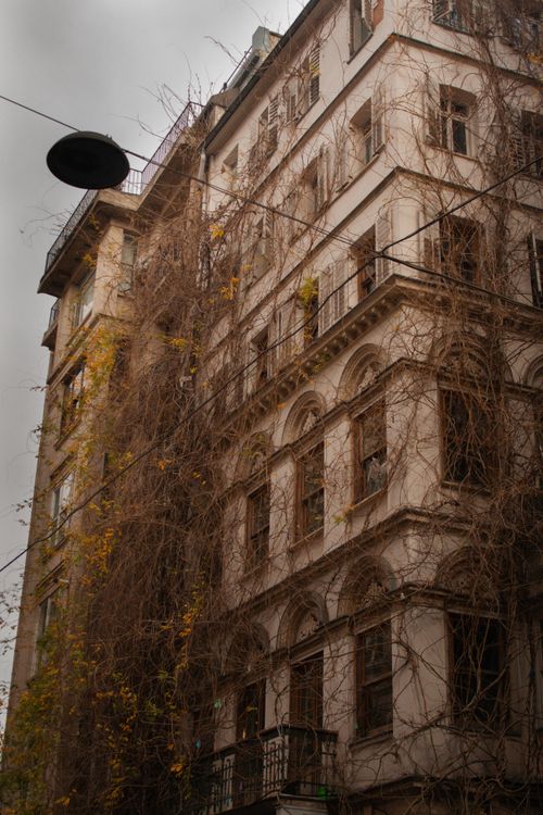 Free A low angle view of an ivy-covered building under an overcast sky, showcasing urban architecture. Stock Photo