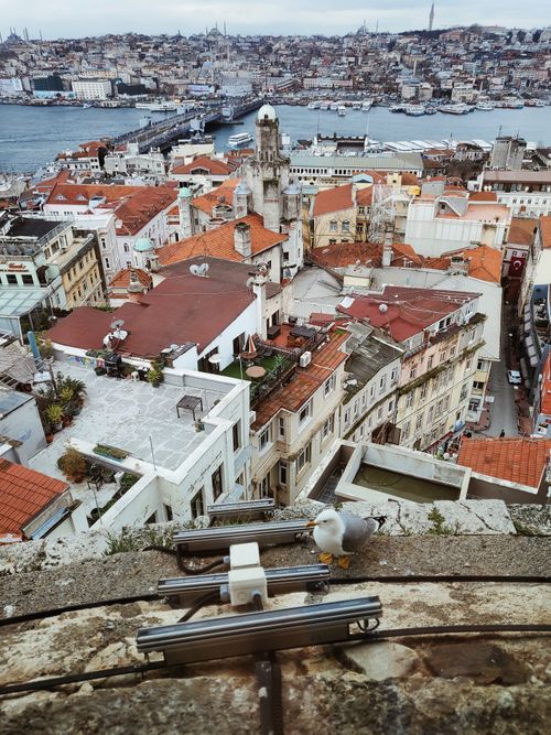 Free Discover the vibrant cityscape and historic architecture of Istanbul with a seagull perched above the Bosphorus. Stock Photo