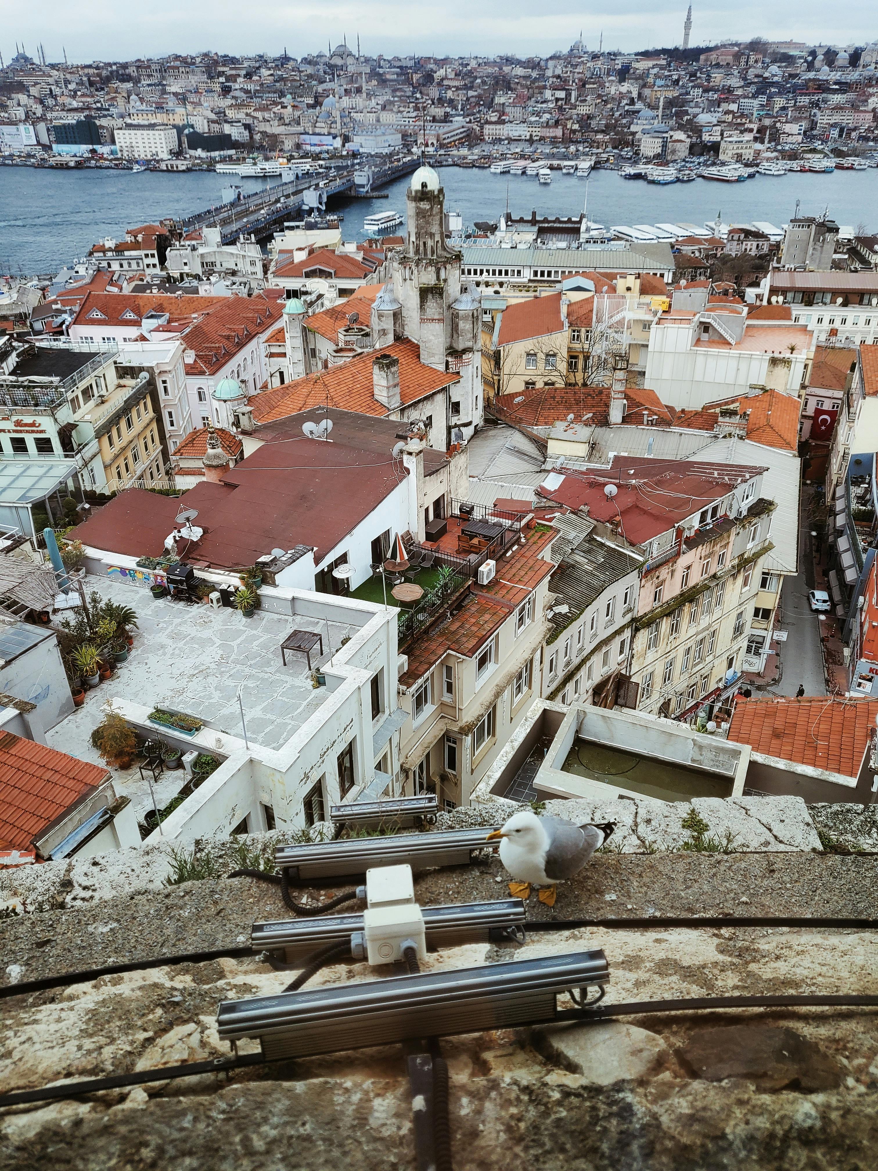 Gratuit Photos gratuites de architecture européenne, architecture historique, bâtiments Photos