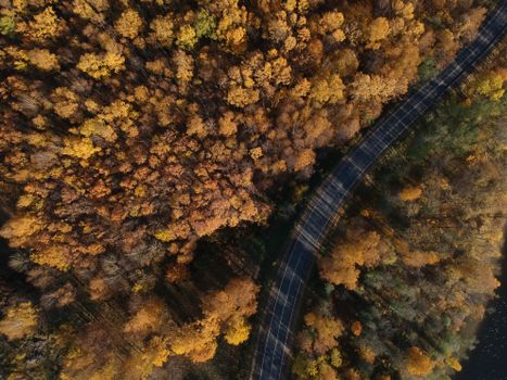 Stunning aerial view of a road winding through vibrant autumn forest foliage.