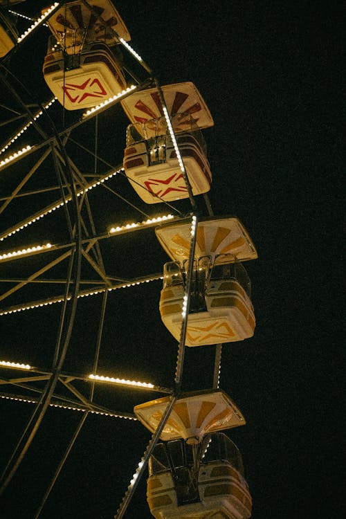 Imagine de stoc gratuită din carnaval, divertisment, fotografiere verticală