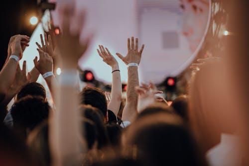 Základová fotografie zdarma na téma dav, hlediště, koncert