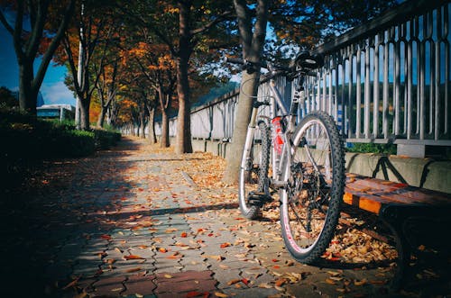 Darmowe zdjęcie z galerii z jesień, mtb, rower