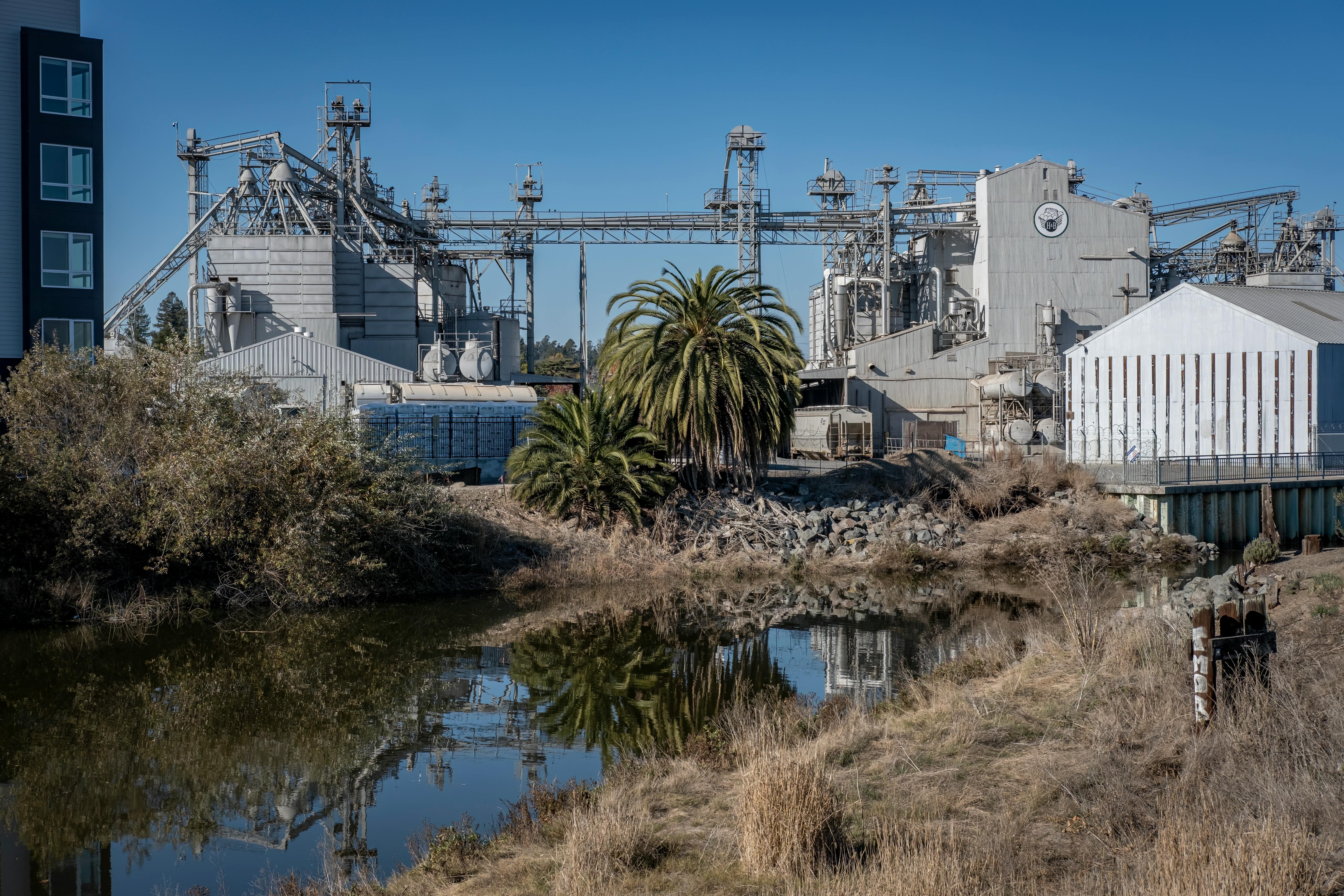 New Pajaro River Watershed Plan targets climate resilience across four counties. — Photo by David McElwee on Pexels