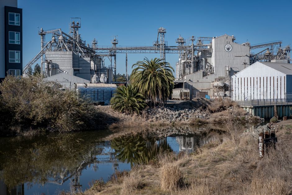 Ontario Eyes Restart of Massive Former Coal Plant in Haldimand County