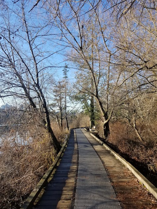 Pavement in Rural Park