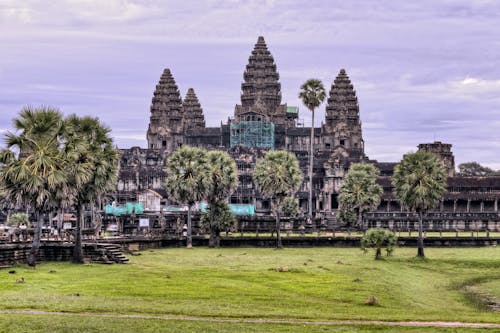 Foto d'estoc gratuïta de angkor, ankor, arbre