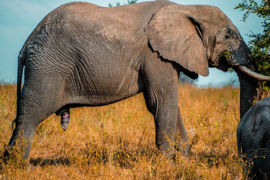 Unveiling East Africa's Hidden Treasures for Nigerians