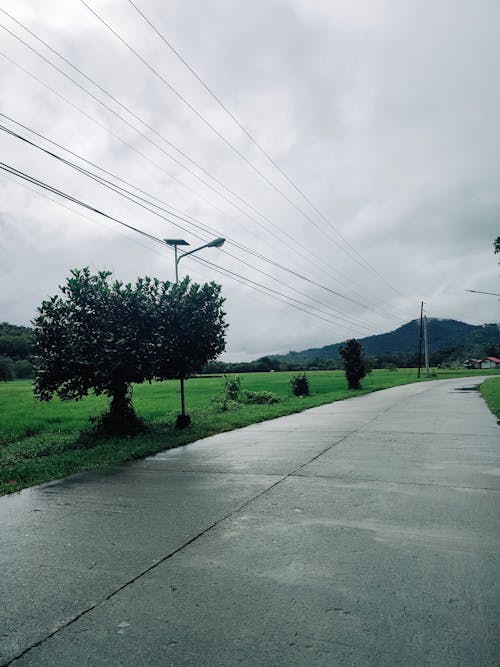 Foto d'estoc gratuïta de carretera, dia plujós