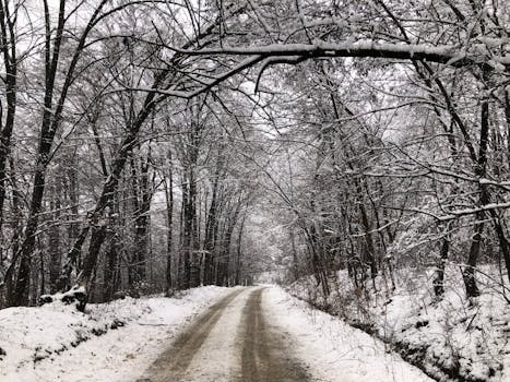 Serene snowy road through a winter forest in Ciolceşti, Romania, captured on a crisp day.