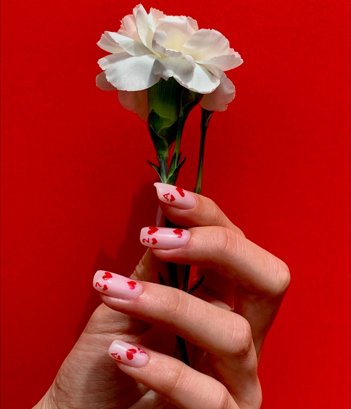 Elegant female hand with nail art holding a white carnation against a vibrant red backdrop.