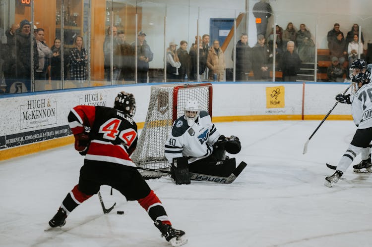 People Watching Hockey 