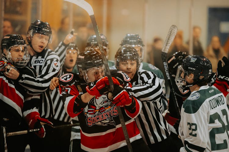 Photo Of A Dynamic Hockey Team