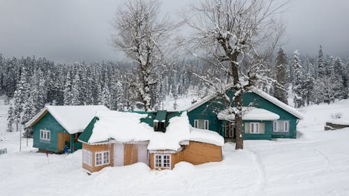 Základová fotografie zdarma na téma budovy, chatky, jehličnan