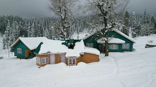 Huts by the Coniferous Forest in Winter 