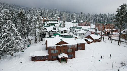 House Buildings by the Coniferous Forest in Winter 