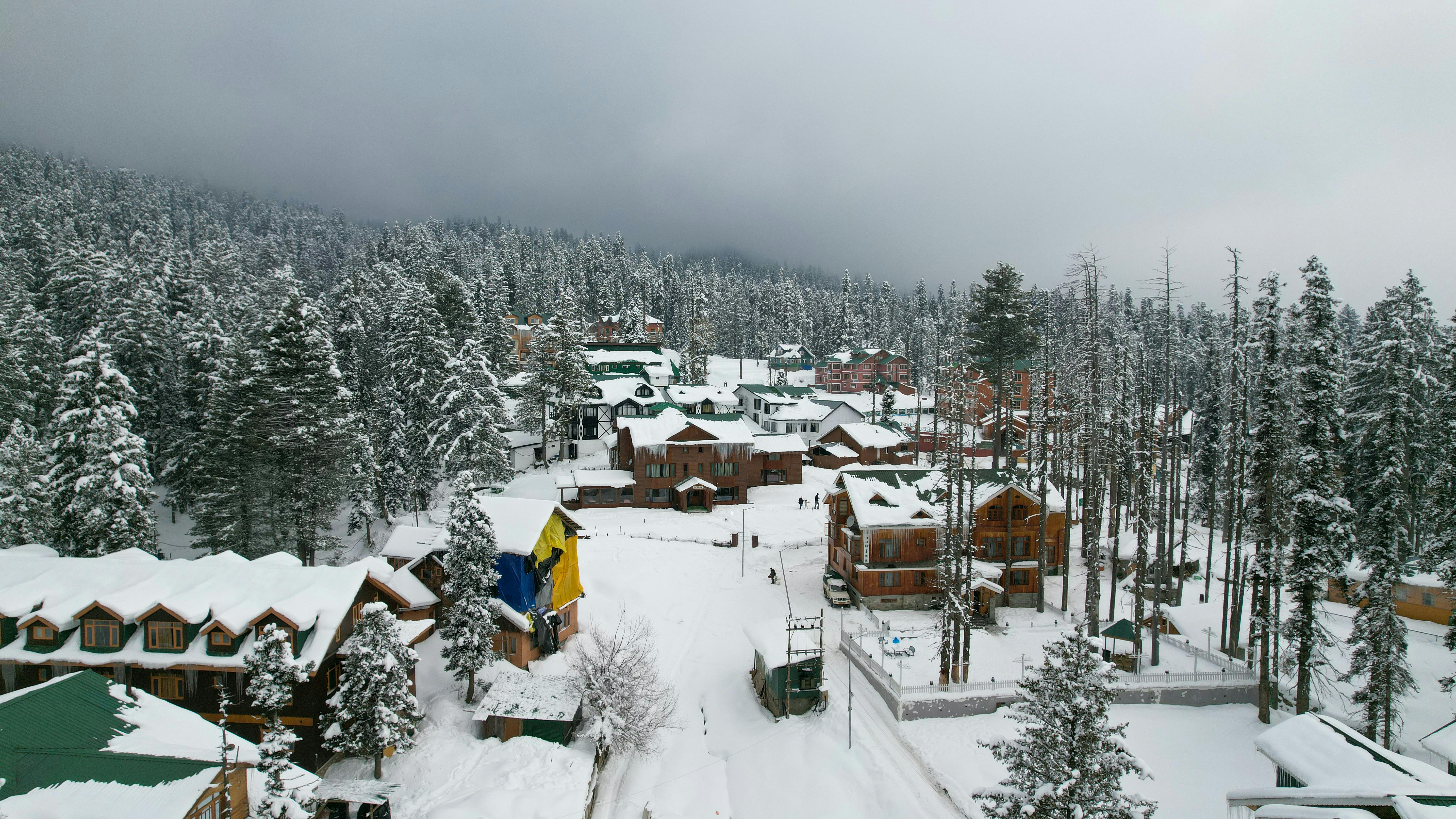 Enchanting Winter Wonderland Unveiling the Secrets of a Snow-Covered Valley