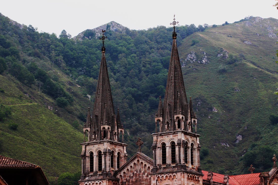 Gratis lagerfoto af gotisk arkitektur, hellig, katedral