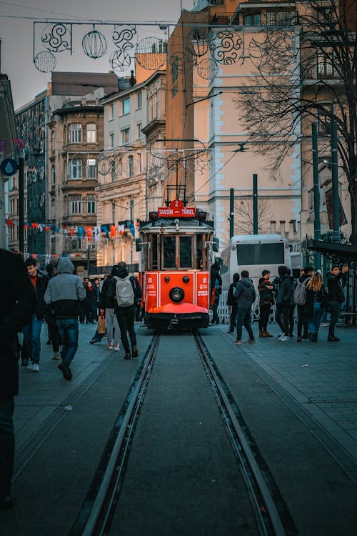 Imagine de stoc gratuită din călătorie, cicek pasaji, curcan