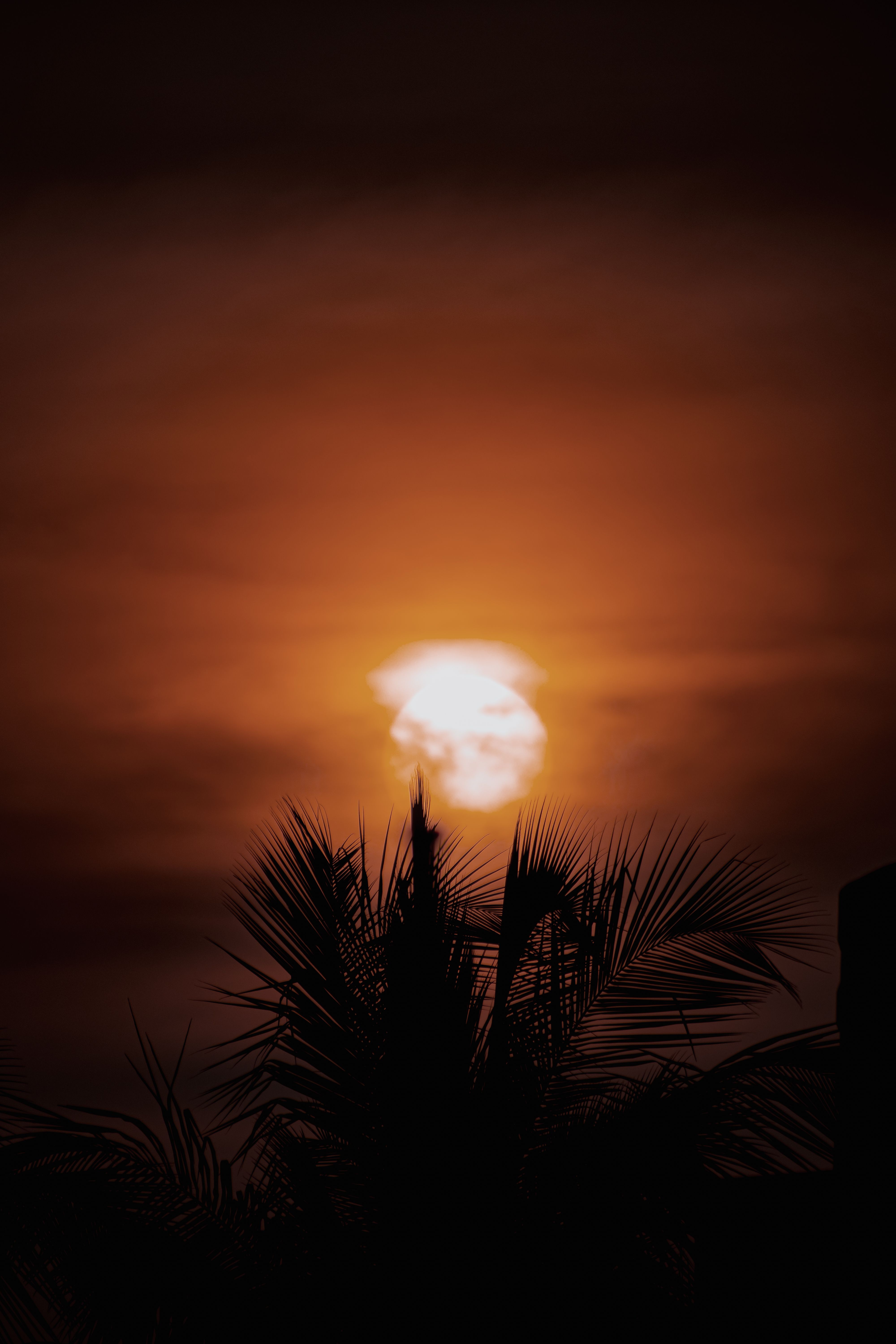 Sun Mahadasha Rahu Antardasha — Effects & Remedies in Vedic Astrology