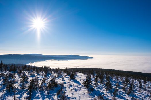Winter Landscape and Sun with Beams in Blue Sky