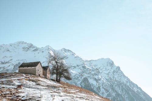 Бесплатное стоковое фото с горы, деревья, здания