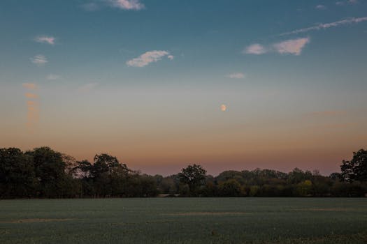 黄昏时分，宁静的乡村月出地平线，绿树成荫