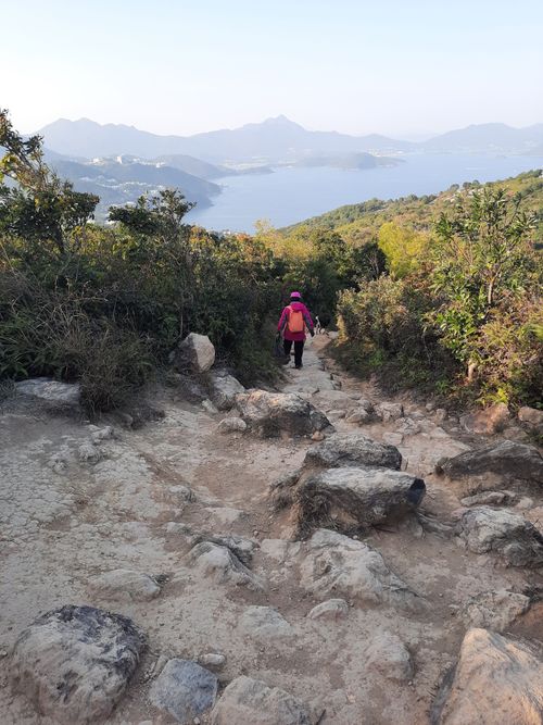 Free Hiker explores a rocky mountain trail surrounded by lush greenery and a distant view of mountains. Stock Photo