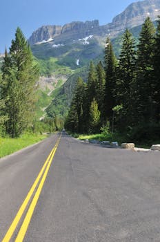 Aspen-lined road leading towards majestic mountains under a clear blue sky.