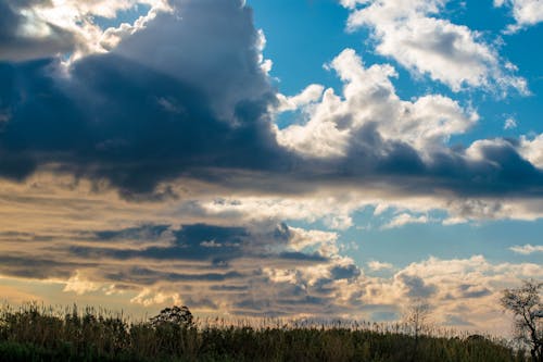 Ingyenes stockfotó felhők, felhőzet, fű témában