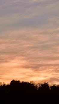 Tranquil sunset scene with soft clouds and tree silhouettes, ideal for nature and sky themes.