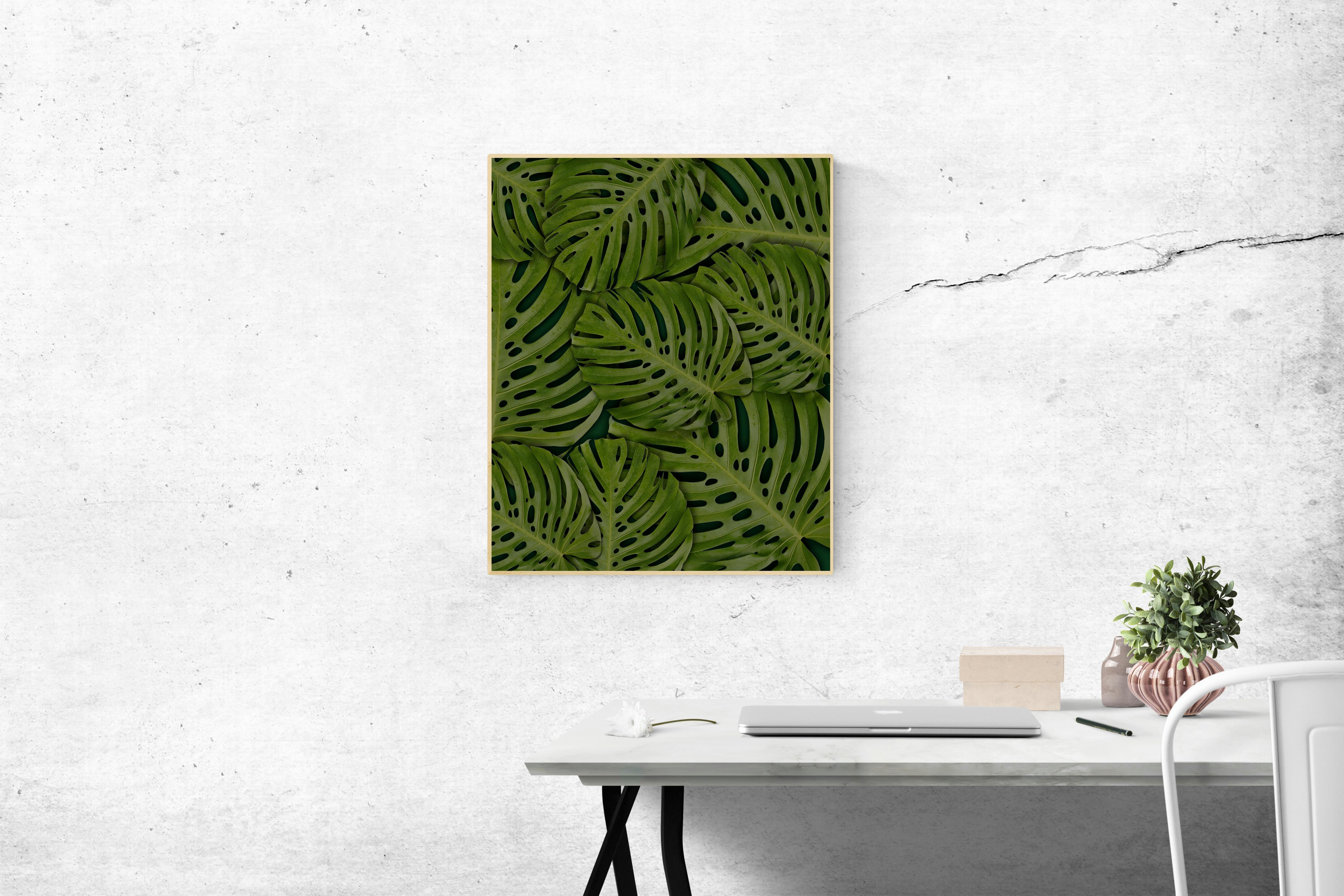 rectangular green swiss cheese leafed plant photo mounted on wall