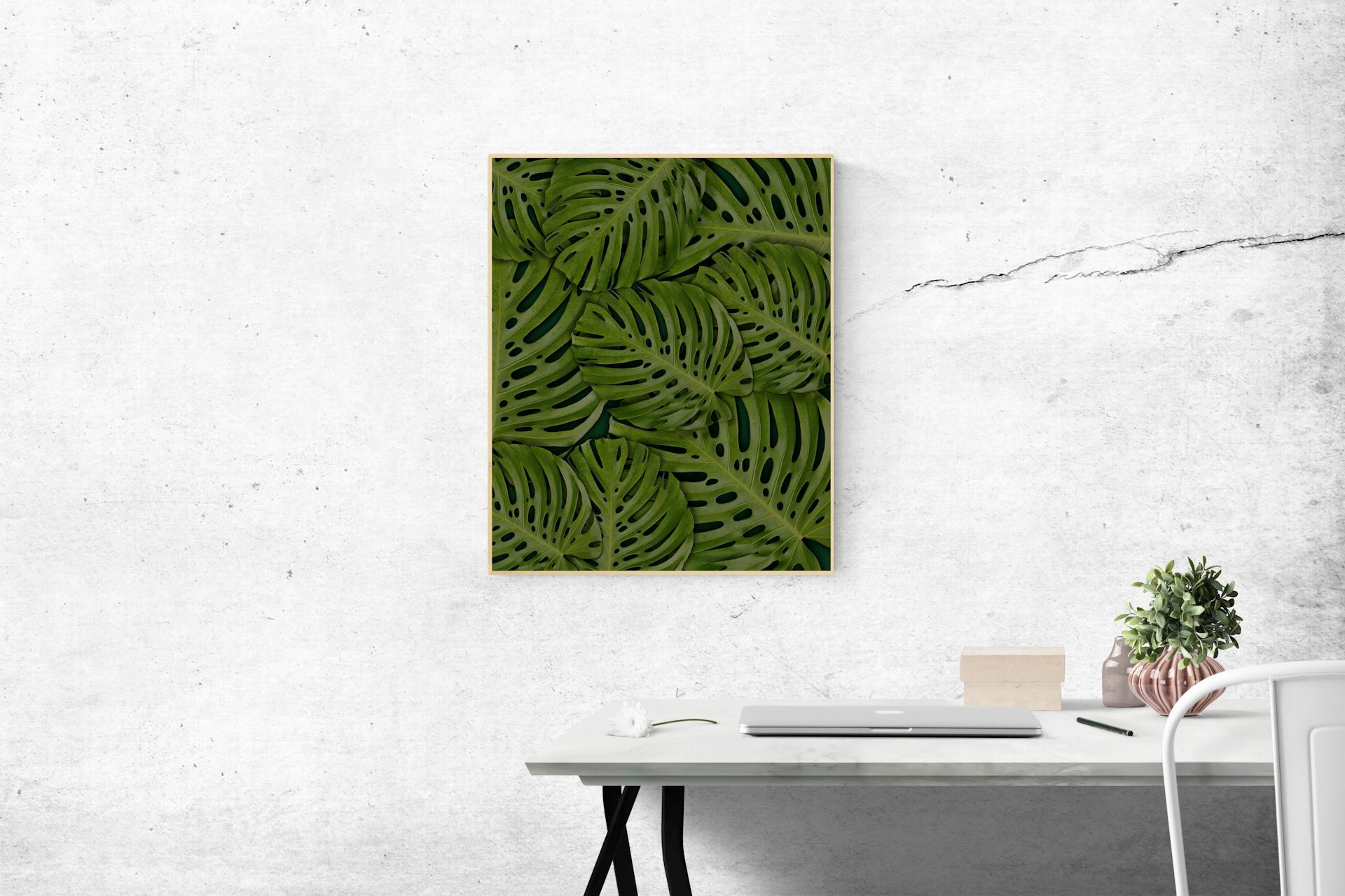 Rectangular Green Swiss-cheese Leafed Plant Photo Mounted on Wall