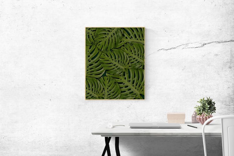 Rectangular Green Swiss-cheese Leafed Plant Photo Mounted On Wall