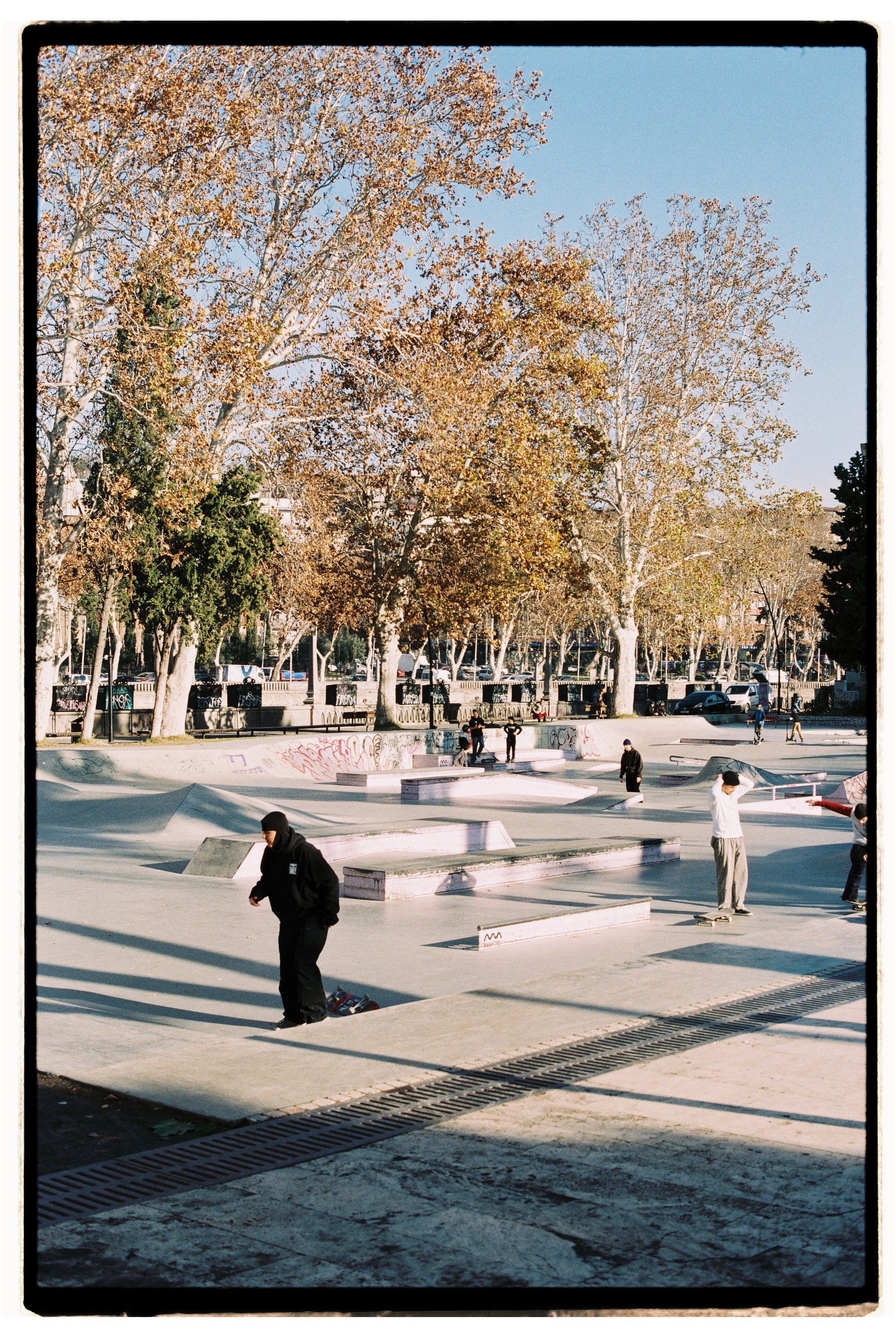 Trees around Skatepark · Free Stock Photo