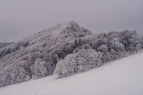 Gratis lagerfoto af bjerg, koldt vejr, natur