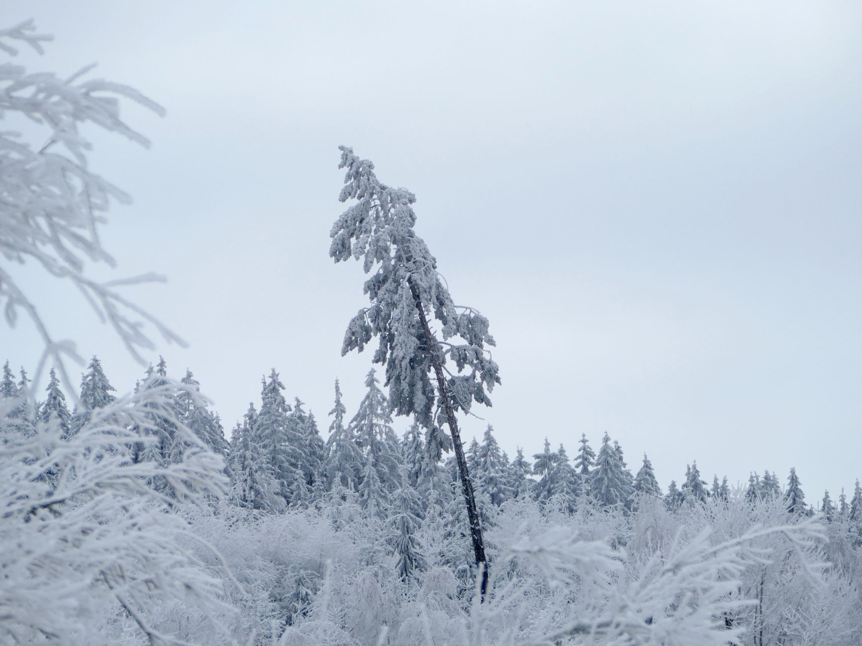 Plein air Saint-Donat / Fatbike