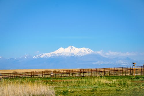 围栏, 山脈, 牧場 的 免费素材图片