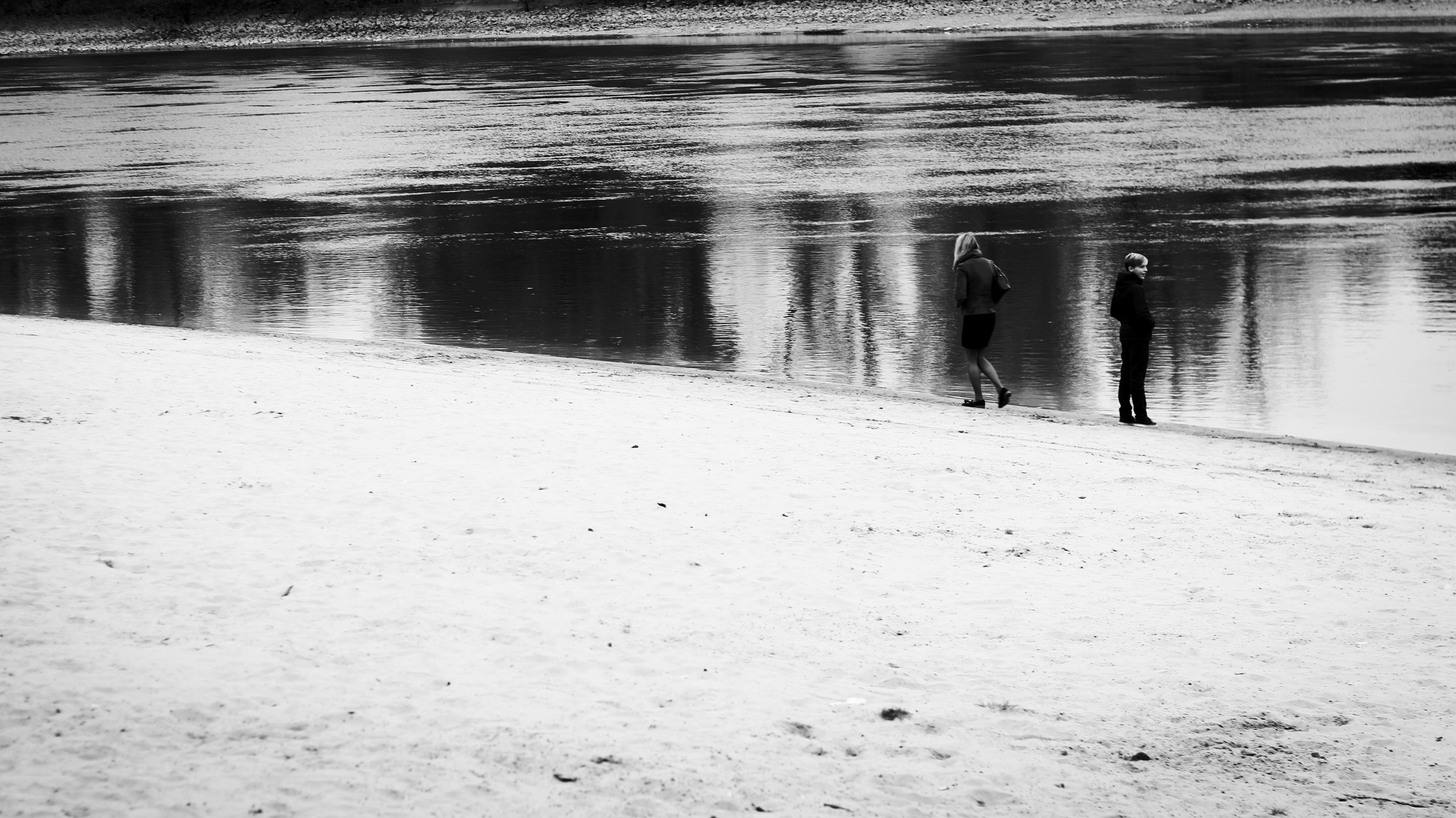 Free stock photo of beach, black and white, couple