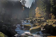 在捷克克维尔达的秋季森林中，捕捉到一条宁静的溪流