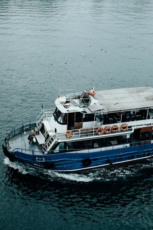 Flock of Birds Floating on the Sea Near the Sailing Ferry Boat 