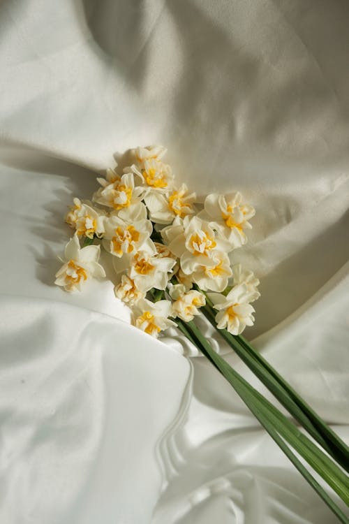 Bunch of Flowers Lying on a White Fabric