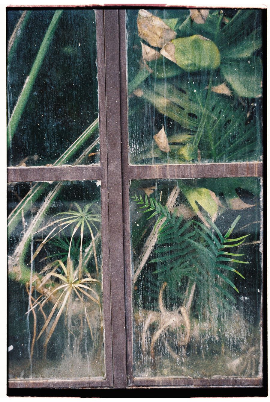 Detalle de marcos de madera para ventanas