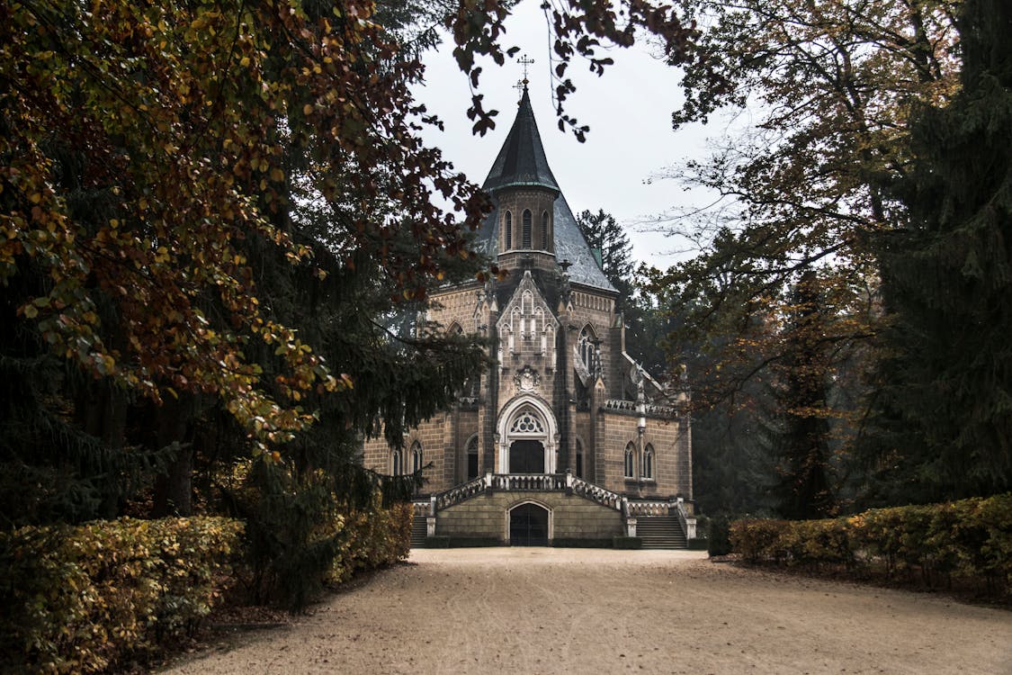 Castle Beside Trees