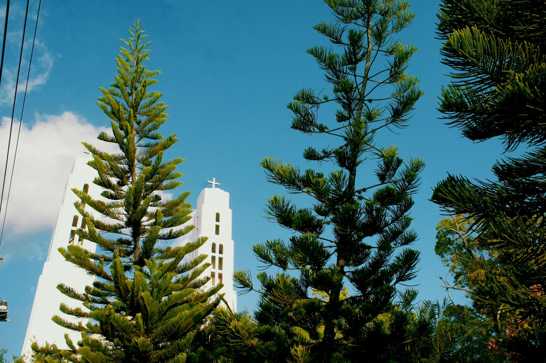 콤포스텔라 성당, 영혼의 길에서 만난 기적 콤포스텔라 성당, 영혼의 길에서 만난 기적