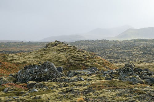 Gratis arkivbilde med åser, fjell, gress